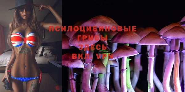 спиды Баксан