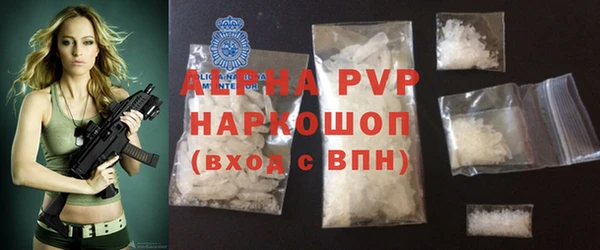 сатива Аркадак