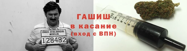 сатива Аркадак