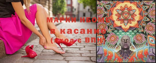сатива Аркадак