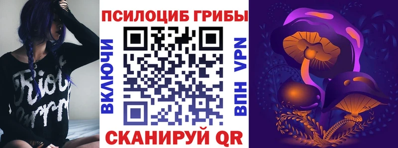 Галлюциногенные грибы Psilocybine cubensis  kraken зеркало  дарк нет состав  Сланцы 